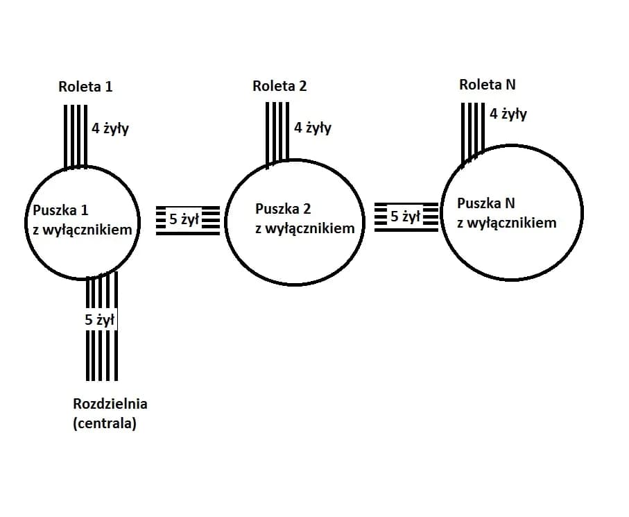 Ile rolet na jednym obwodzie – uniknij kosztownych błędów w instalacji