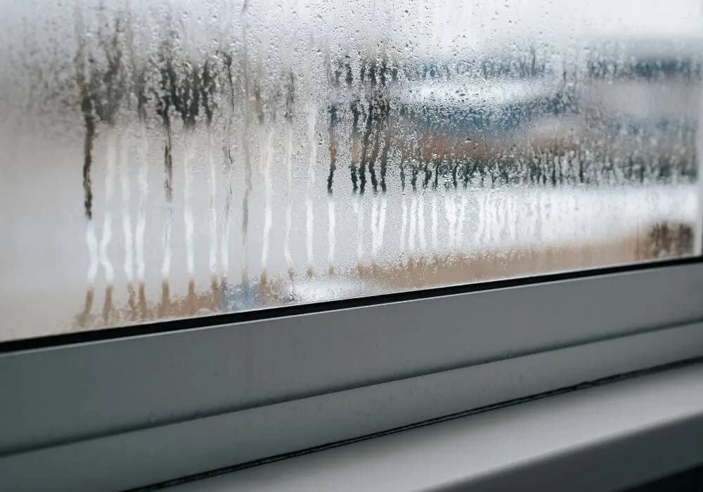 Dlaczego jest wilgoć na oknach i jak skutecznie ją usunąć